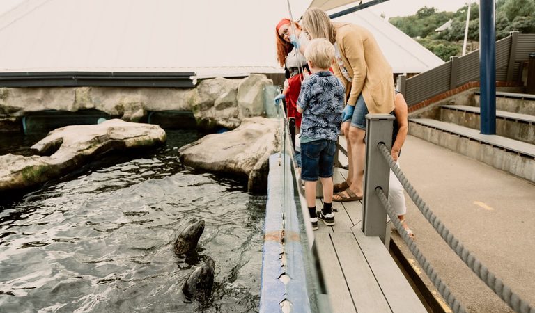 Tourism Visit NY Scarborough Sealife centre 2023 08 75 Medium