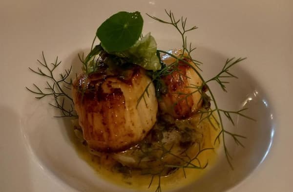 Untitled design 2024 07 25 T125824 426 1770967562