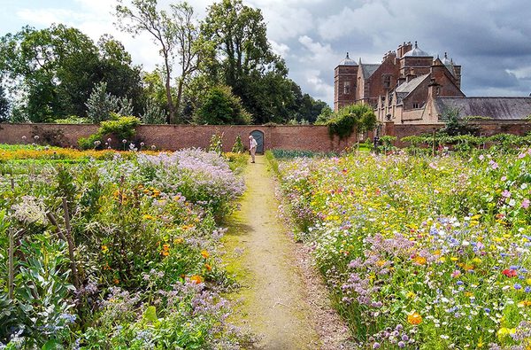 Walled Garden wild flowers Kiplin Hall and Gardens