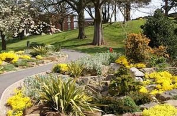 Dsc1010 w300h300 214508737