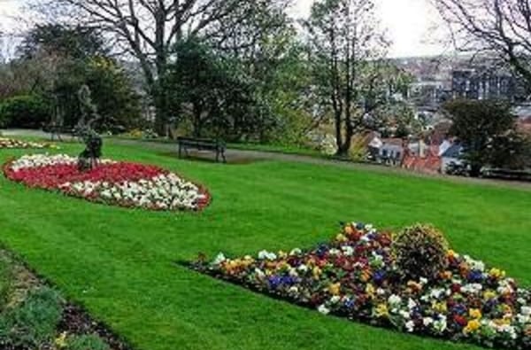 Dsc1512 w300h300 1892208590