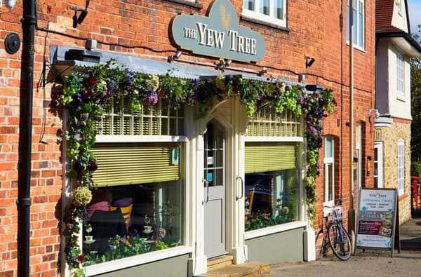 Flowers003 Copy 2 1558547774