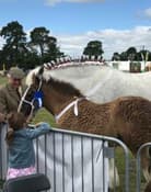 Malton show 2 817093227