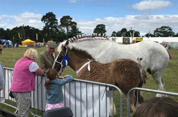 Malton show 2 817093227