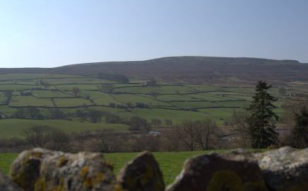 Reeth web