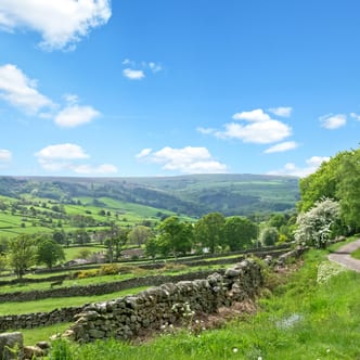 Charlotte Gale Nidderdale Llamas Fullsize 6242 CROPPED