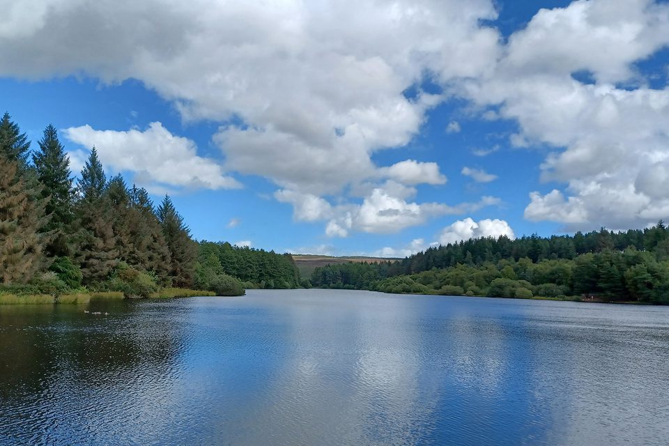 Cod Beck Reservoir near Osmotherley