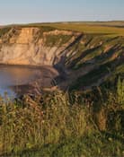 Port Mulgrave Header Image
