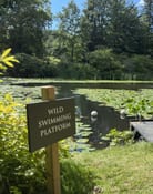 Wild Swimming Swinton Large