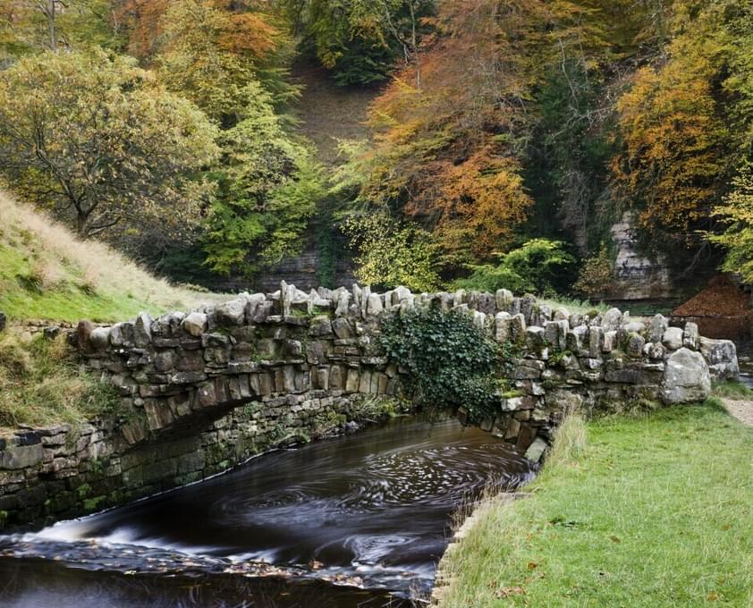 169715 724925685 Medium