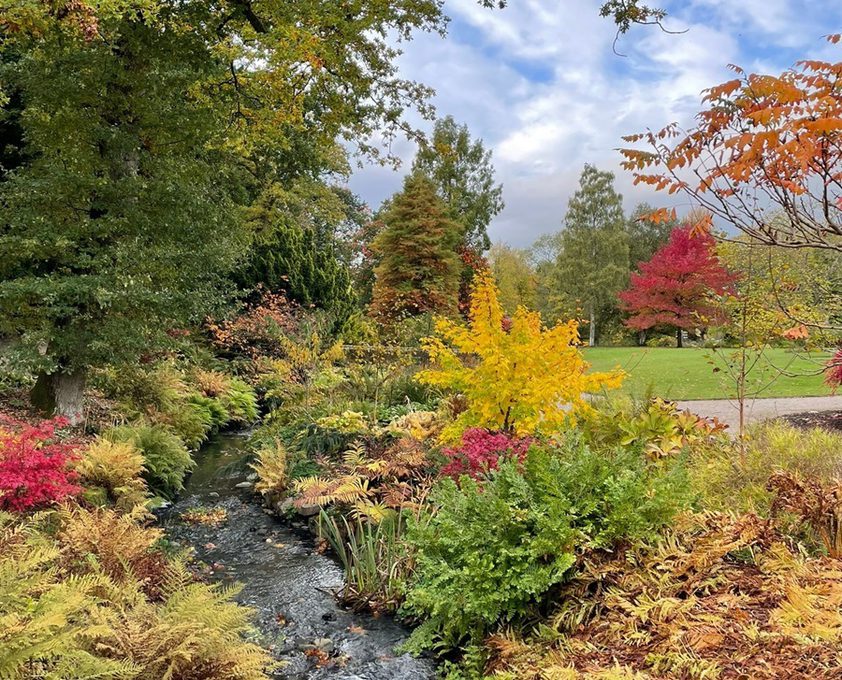 Autumn at RHS Garden Harlow Carr