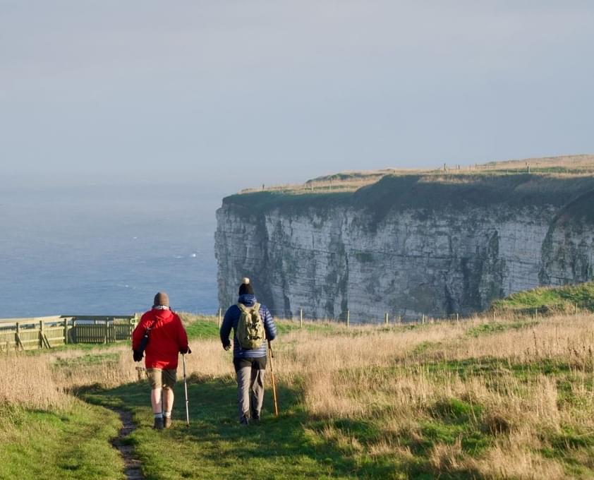 Bempton Cliffs Content Image
