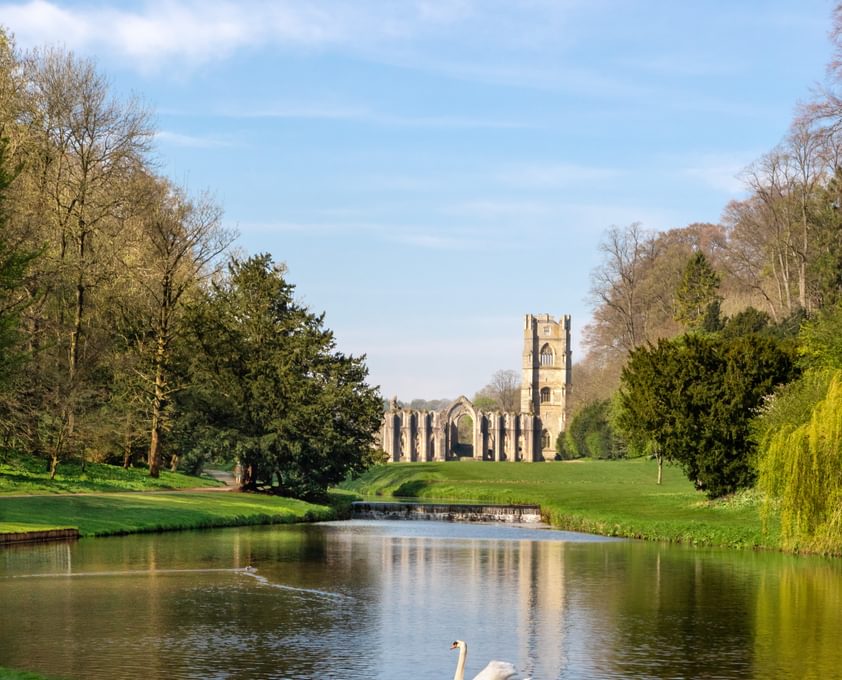 Charlotte Gale Fountains Abbey Fullsize 1415