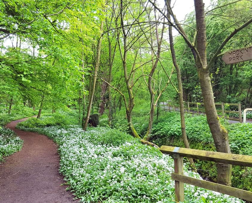 Charlotte Gale Knaresborough Mackintosh Park 2 1
