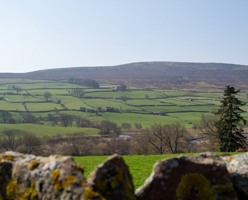DSC 1519 Swaledale Custom