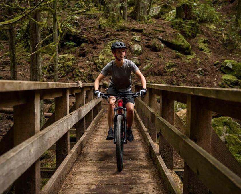 Dalby Forest Cycle Hub 1541342552 1