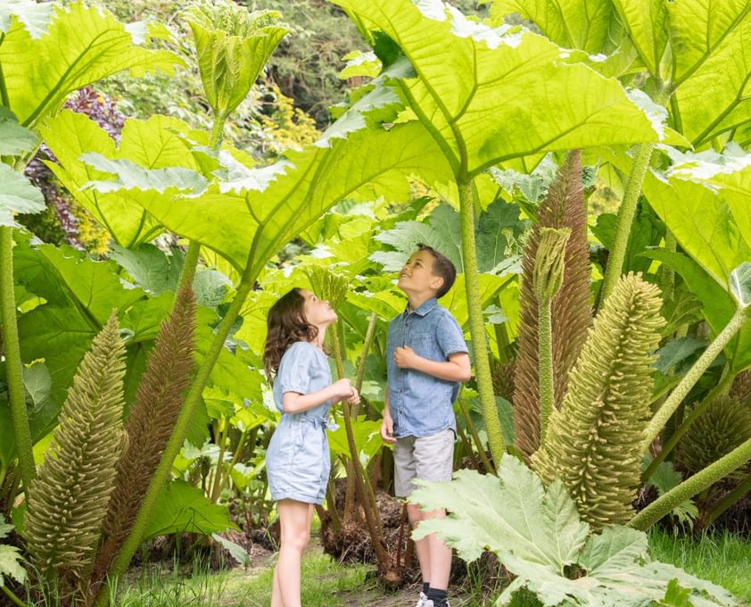 Family Valley Gardens Harrogate Mark Harrison 6 1