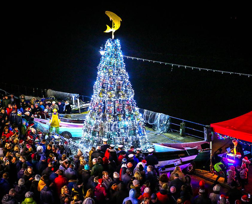 Filey Fishtive Tree Ceri Oakes 08 web