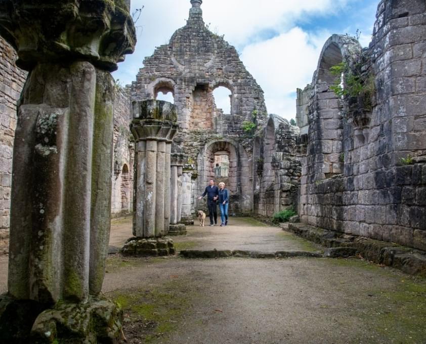 Fountains Abbey couple content image