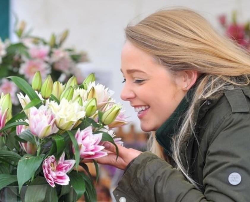 Harrogate Flower Show Content Image
