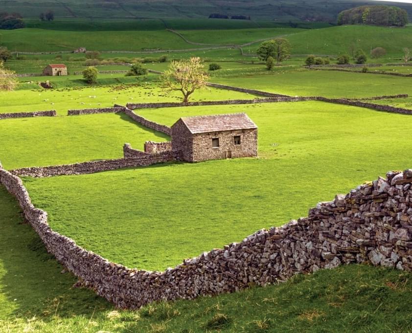 Hawes Content Image