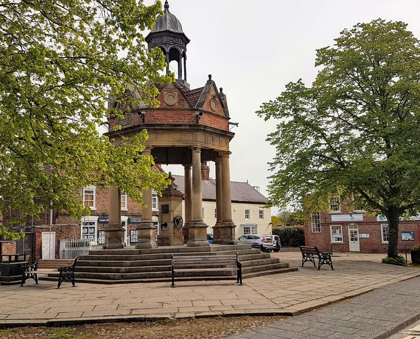 Market Well summer2