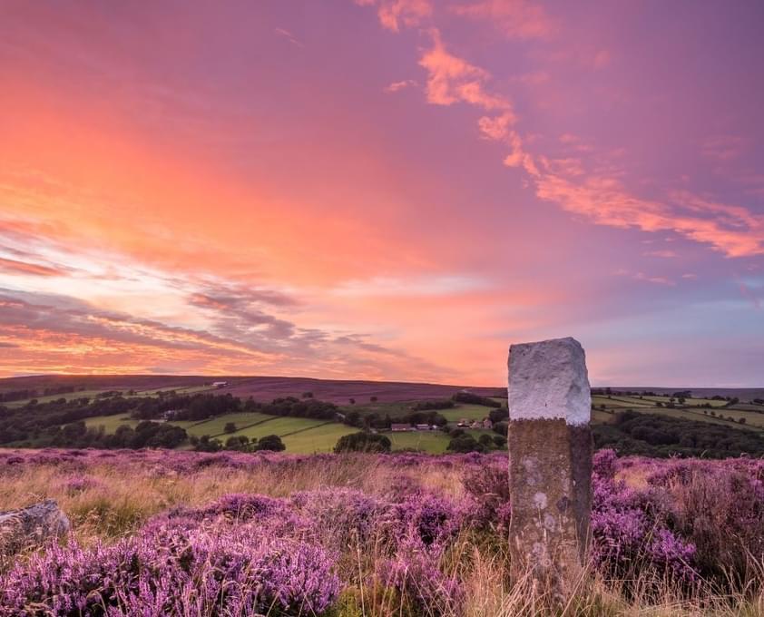 Moors Content Image