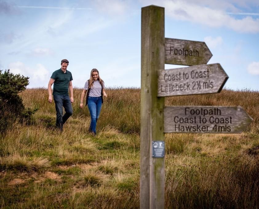 North York Moors Content Image