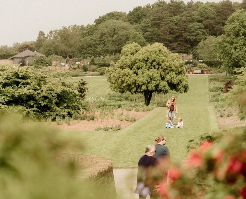 ROAM RHS Harlow Carr Yorkshire Blog Image