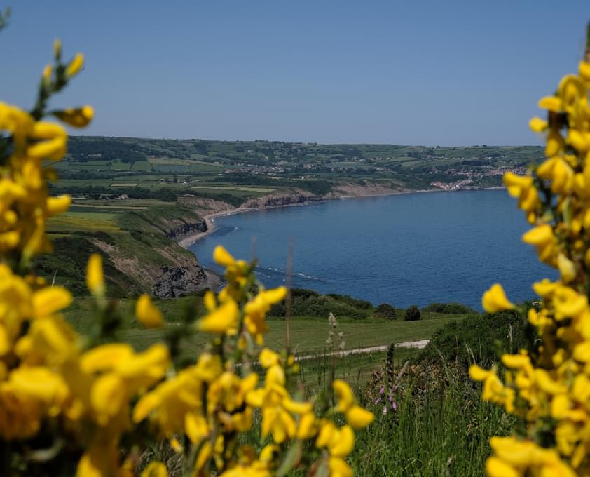 Ravenscar Cleveland Way view 180 rp 1
