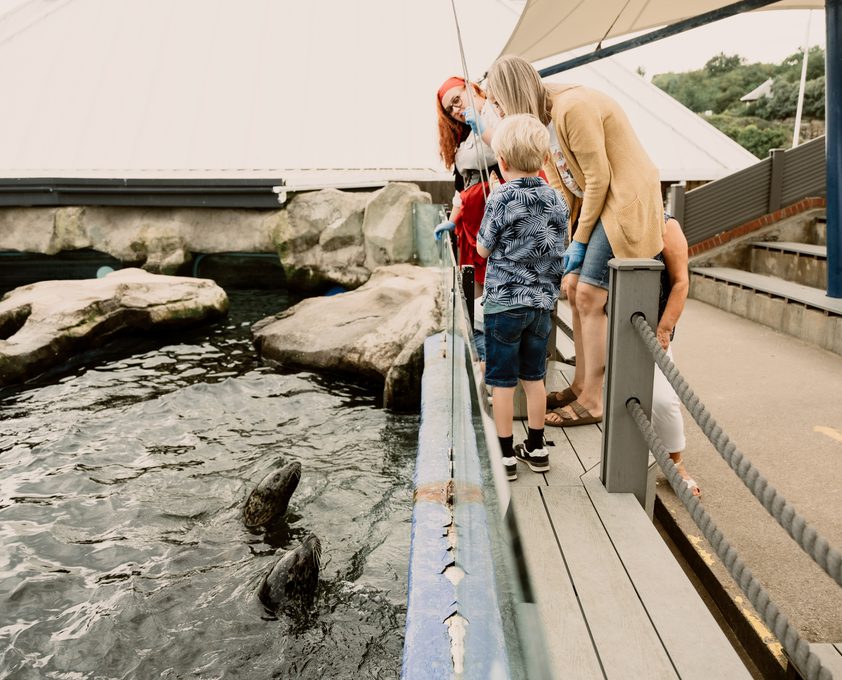 Tourism Visit NY Scarborough Sealife centre 2023 08 75