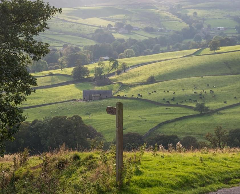 Trapping Hill Nidderdale Medium