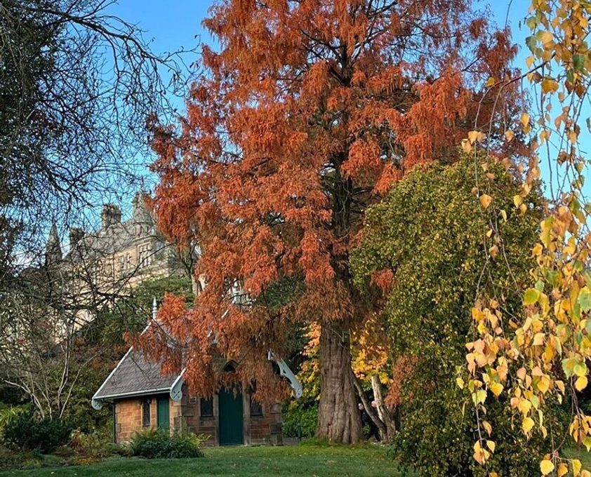 Valley Gardens Hg Autumn