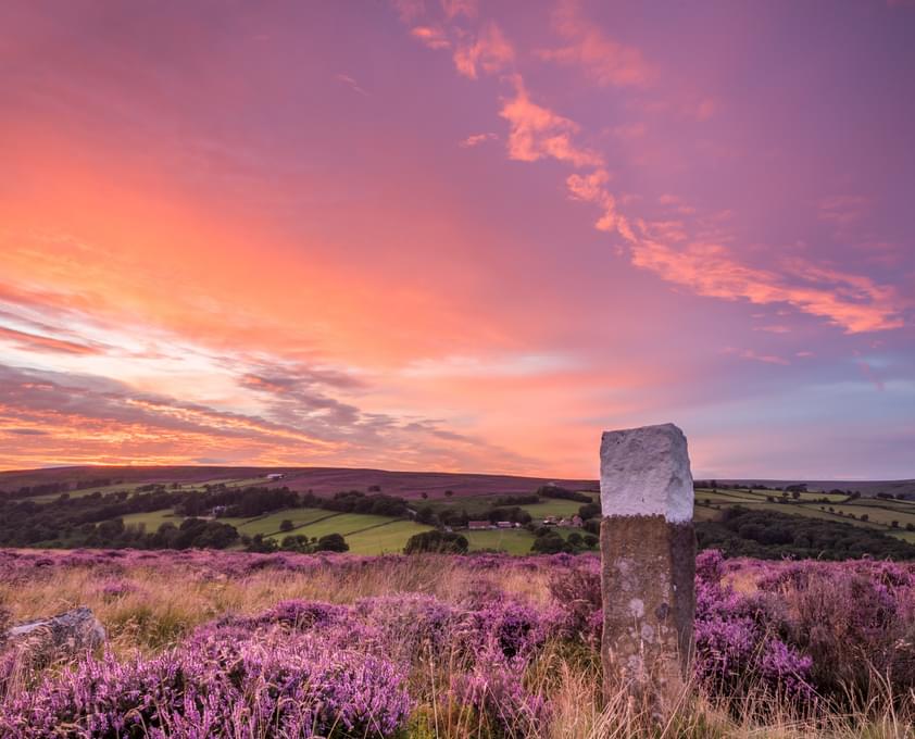 Visit North Yorkshire moors 1