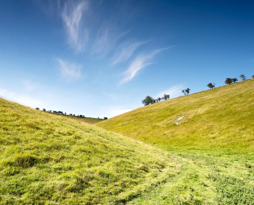Wolds W 800 1 0002 R