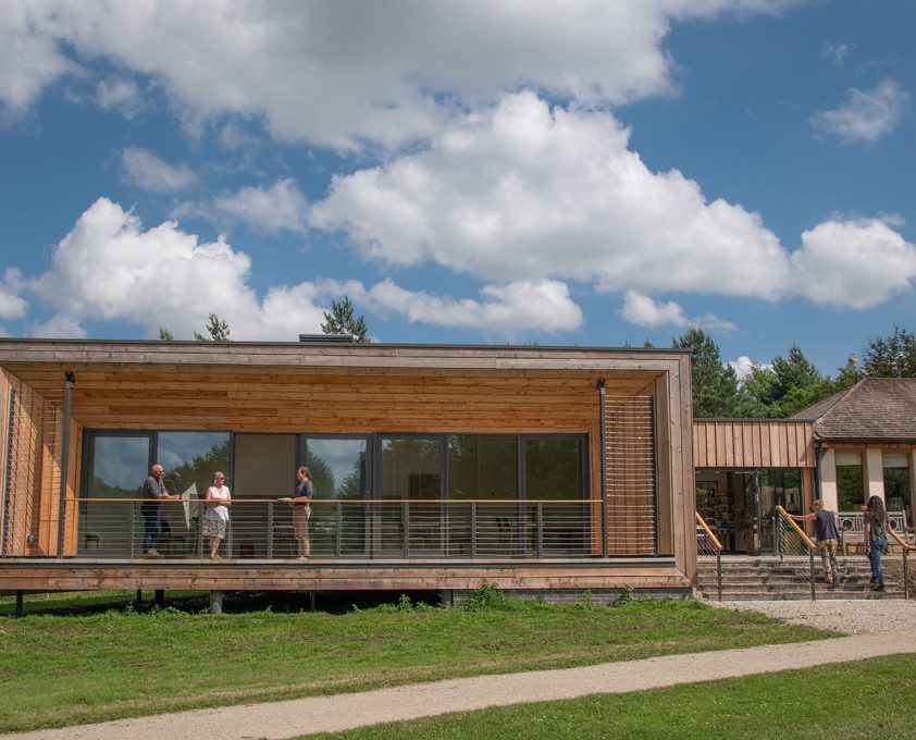 Venus arboretum